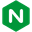 NGINX Icon